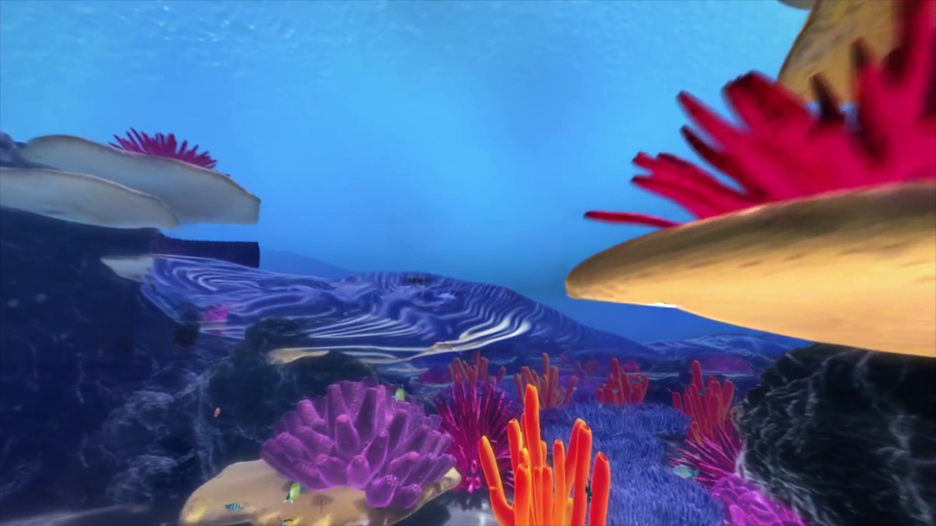 Kaluoka'Hina: do recife encantado ao céu noturno de Santo André