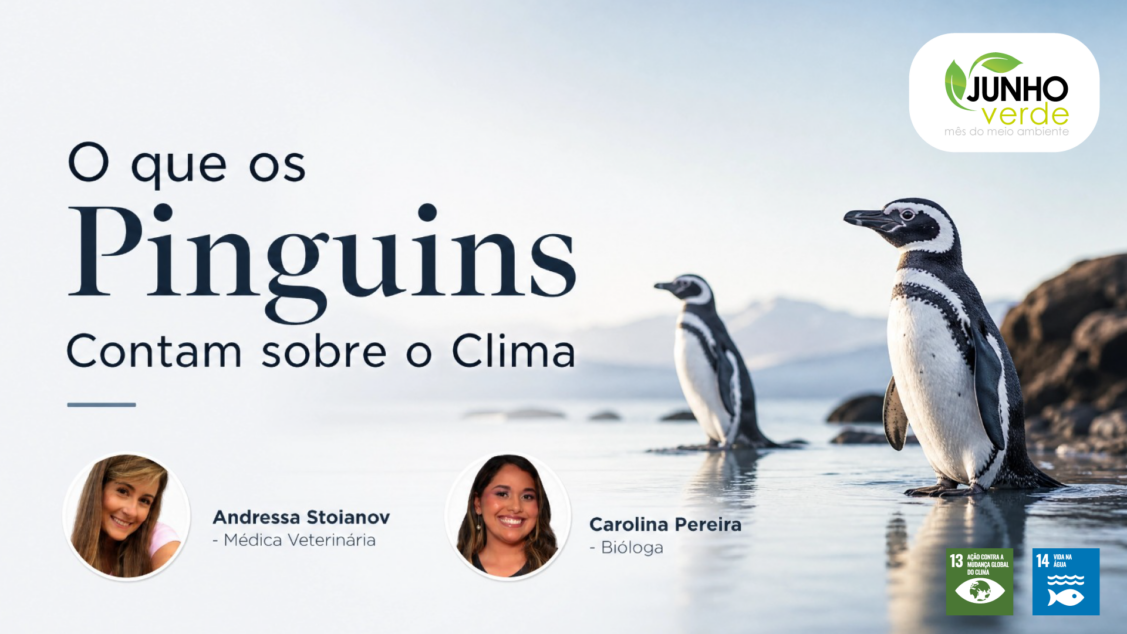 Palestra: O que os pinguins nos contam sobre o clima